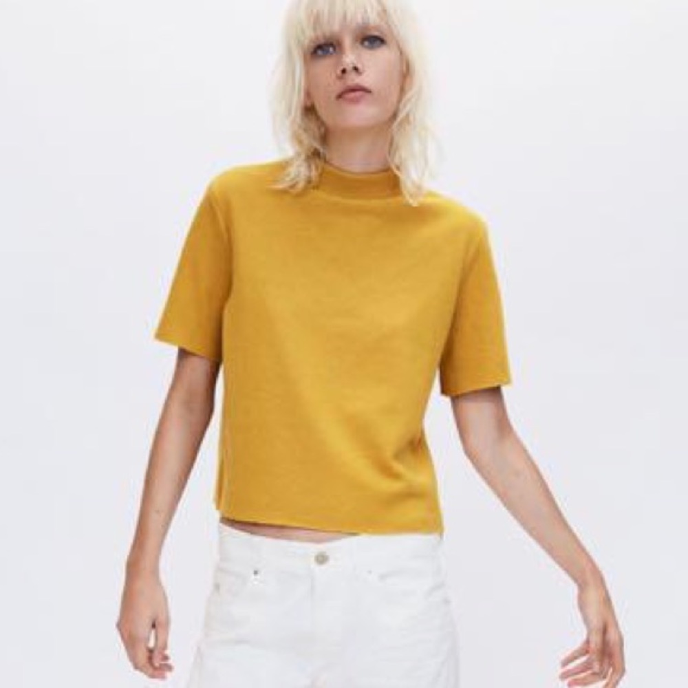 NEVER WORN! Zara Trafaluc top